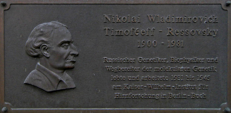 Foto: Galerie Pankow