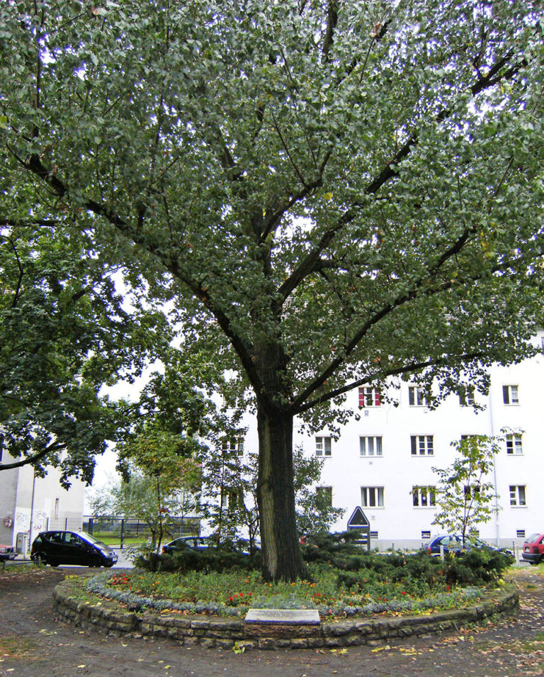 Foto: Galerie Pankow